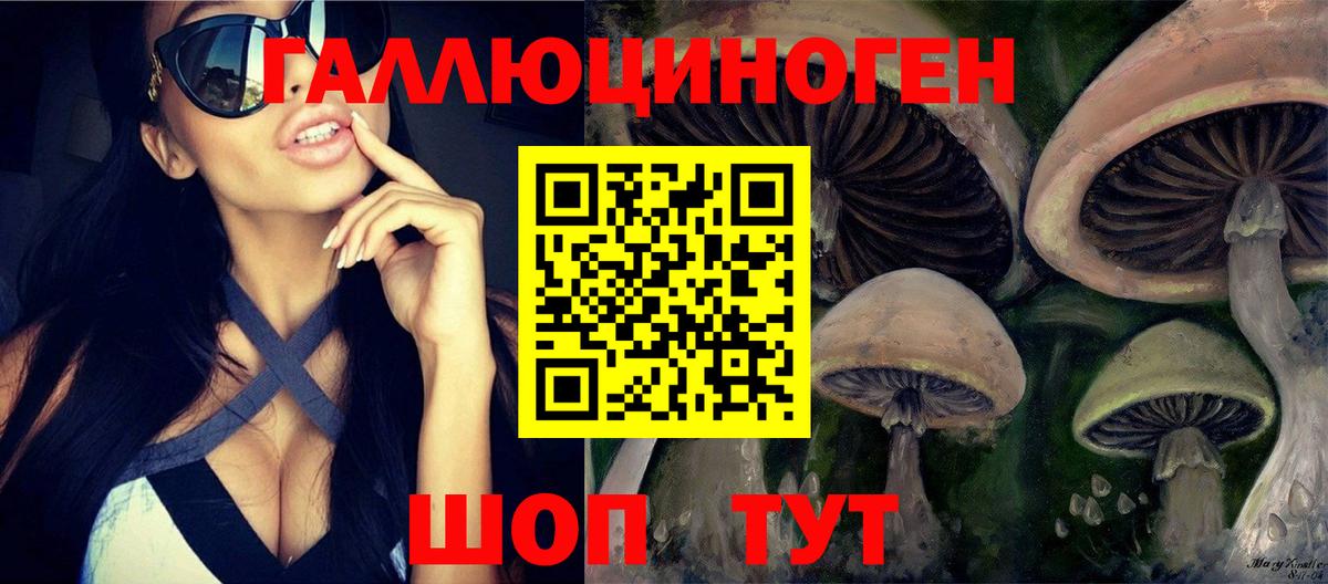 Галлюциногенные грибы Psilocybine cubensis Славянск-на-Кубани