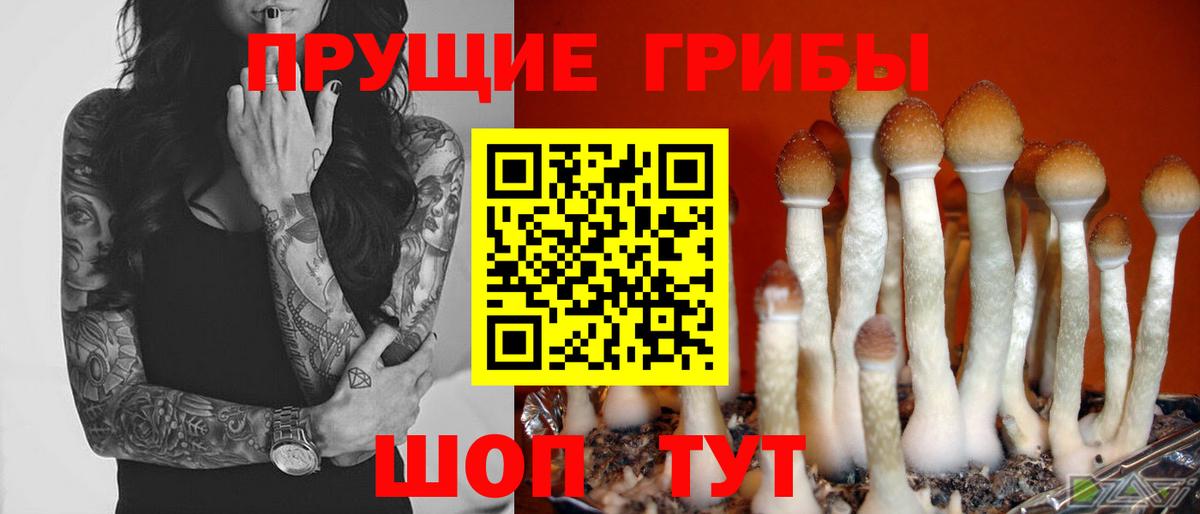 Славянск-на-Кубани  Псилоцибиновые грибы MAGIC MUSHROOMS  Вход с VPN 